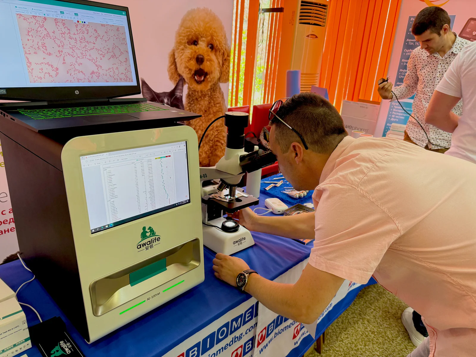 Customer operating a veterinary analyzer and digital microscope during a product demonstration